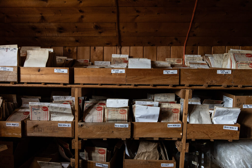 Will Bonsall's native seed collection, Scattered Seed Collection, Industry, Maine Photo by Greta Rybus