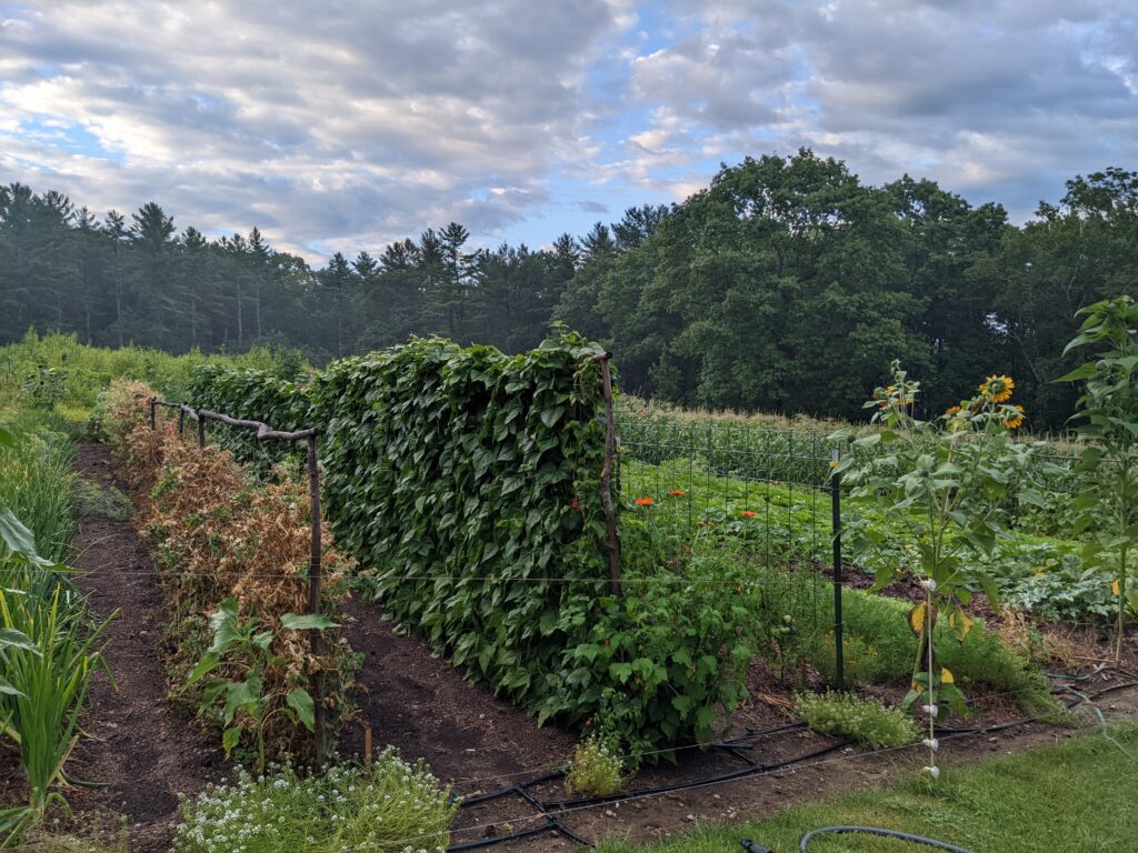 A garden from a previous Gather & Grow tour is featured.