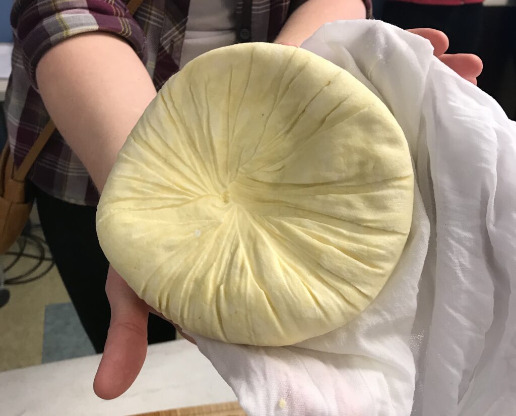 Someone holds a round of freshly-made cheese.