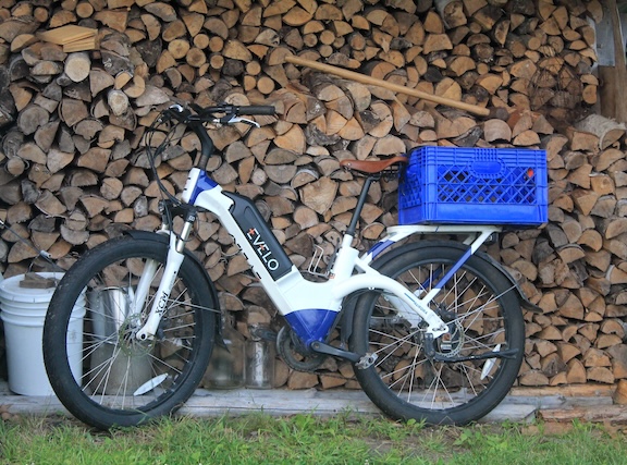 Alice Slater e bike