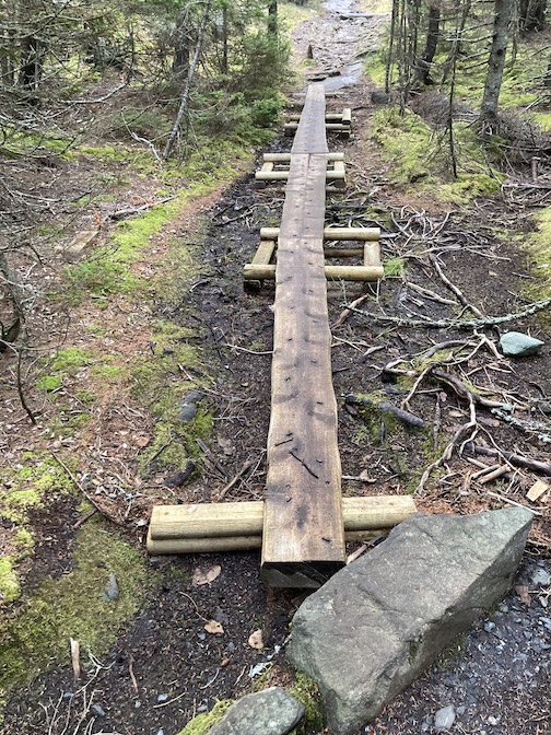 Bog bridge