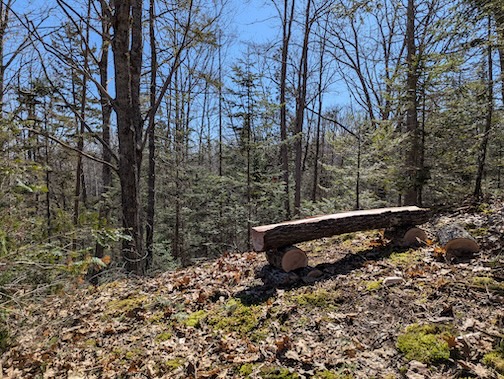 LIF trails