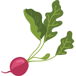 Radish1