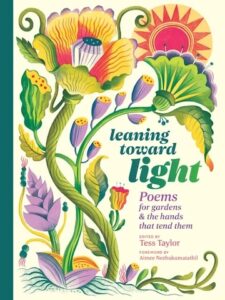 Book cover of Leaning Toward Light
