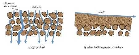 Soil figure 2