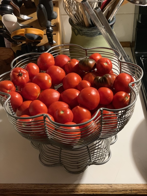 Tomatoes in bowl