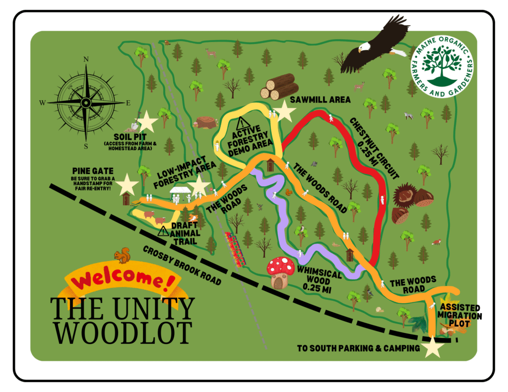 The Woods area at the Common Ground Country Fair. 