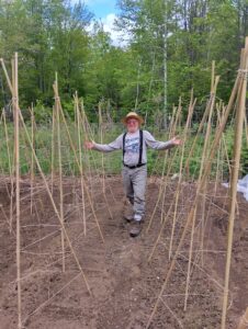 A farmer stands in a filed among pole bean trellis.