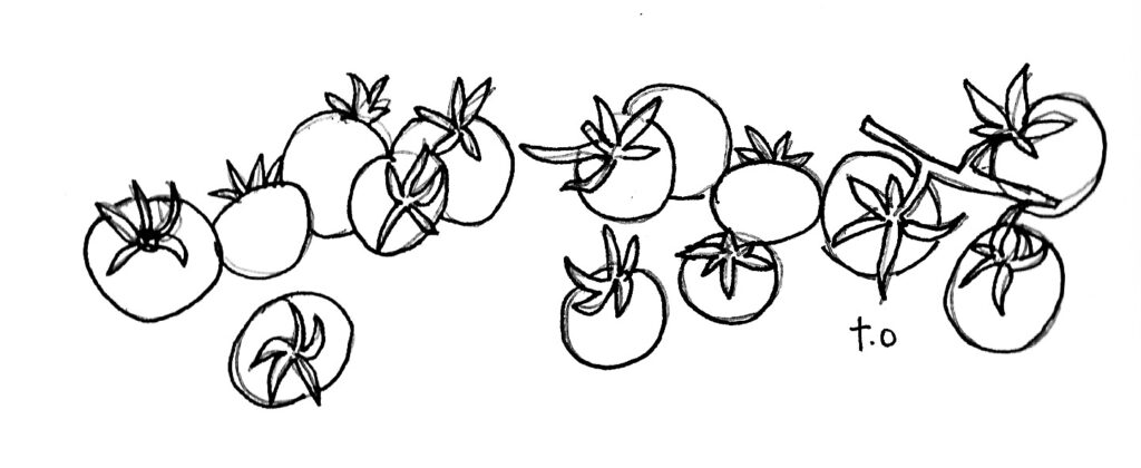 Tomatoes