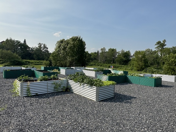 Van Buren garden beds