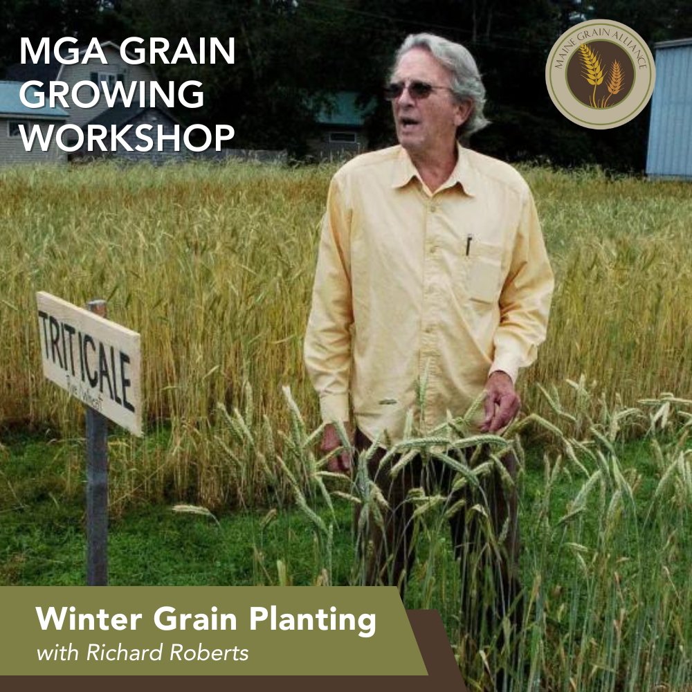 A person standing in a grain field.