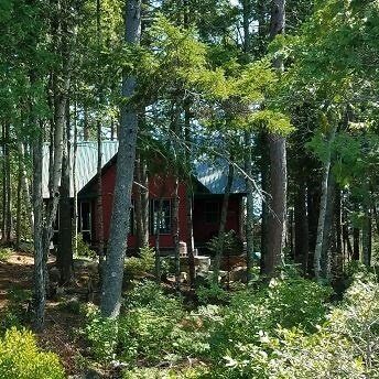 A red cabin viewed through the trees.