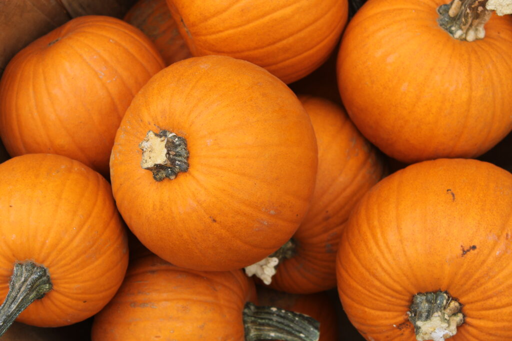 Farmers' market pie pumpkins