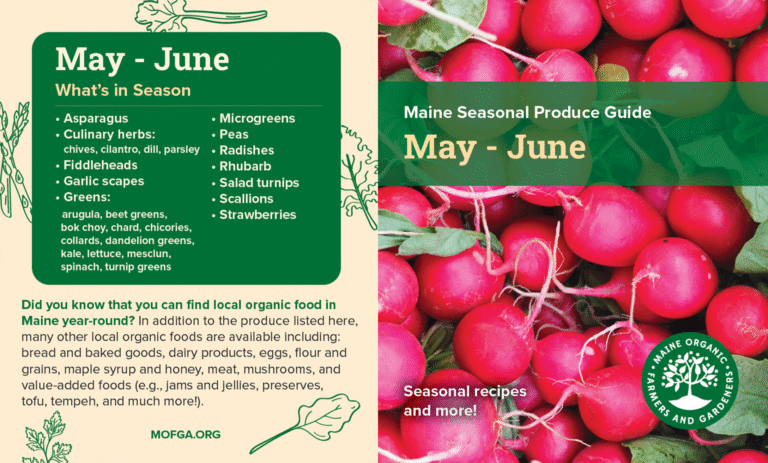 Seasonal Eating Guide May through June featuring image of radishes