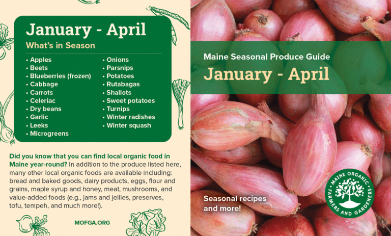 Seasonal Easting Guide January April featuring image of shallots