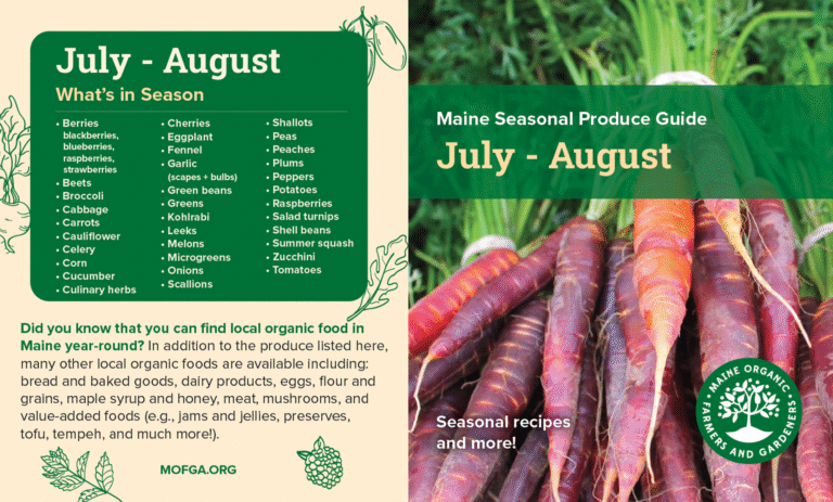 Seasonal Eating Guide July August