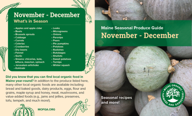 Seasonal Eating Guide November through December featuring image of Hubbard squash