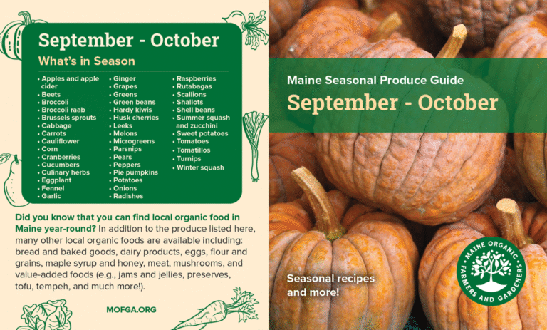 Seasonal Eating Guide September October