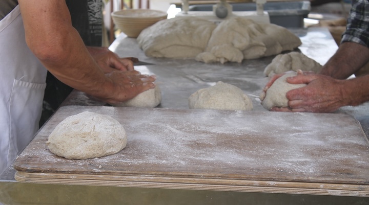 Common Kitchen bread dough