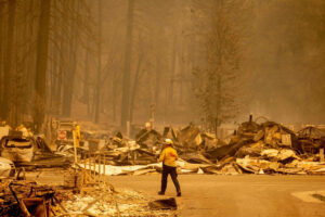 Disaster Preparedness Livestock