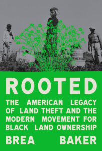 Cover of Rooted