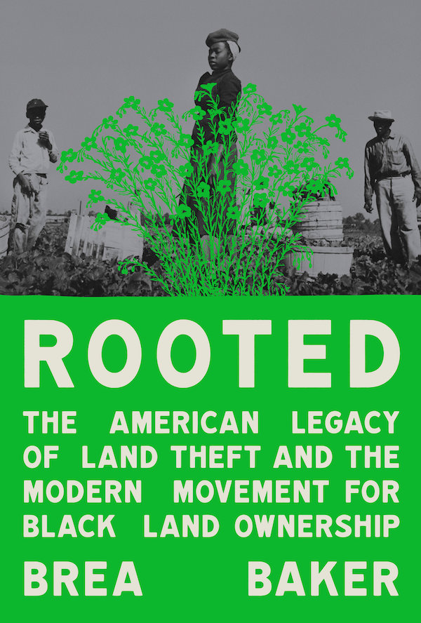 Cover of Rooted