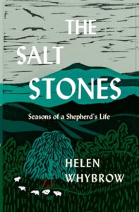 Review The Salt Stones