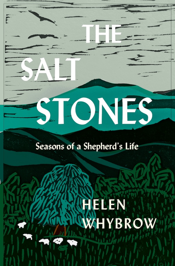 Cover of The Salt Stones