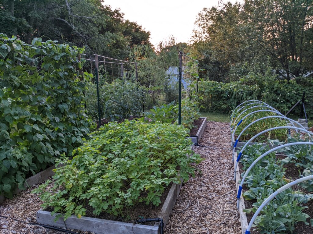 A garden features raised beds, mulched pathways, and various vegetable crops.