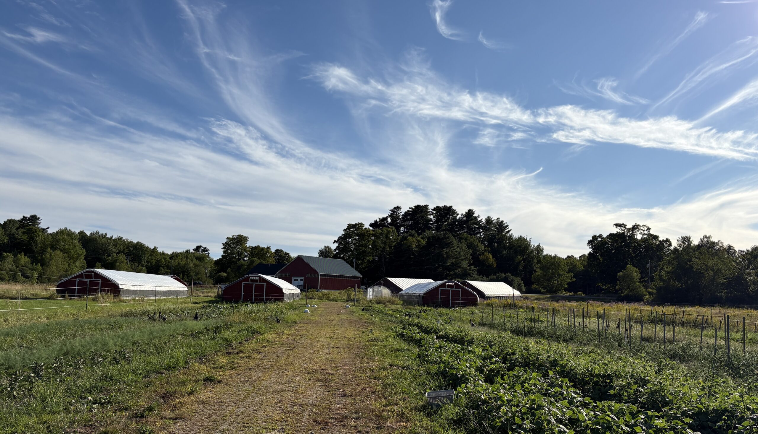 Picture of Farm (10)