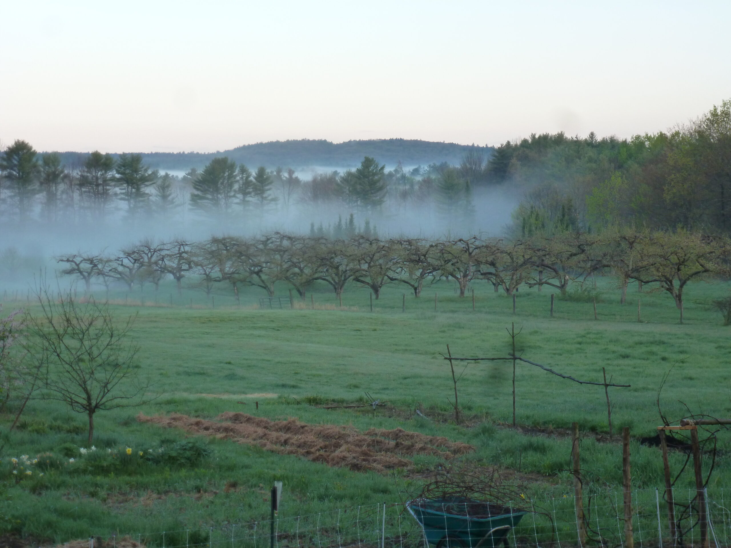 Picture of Farm (6)