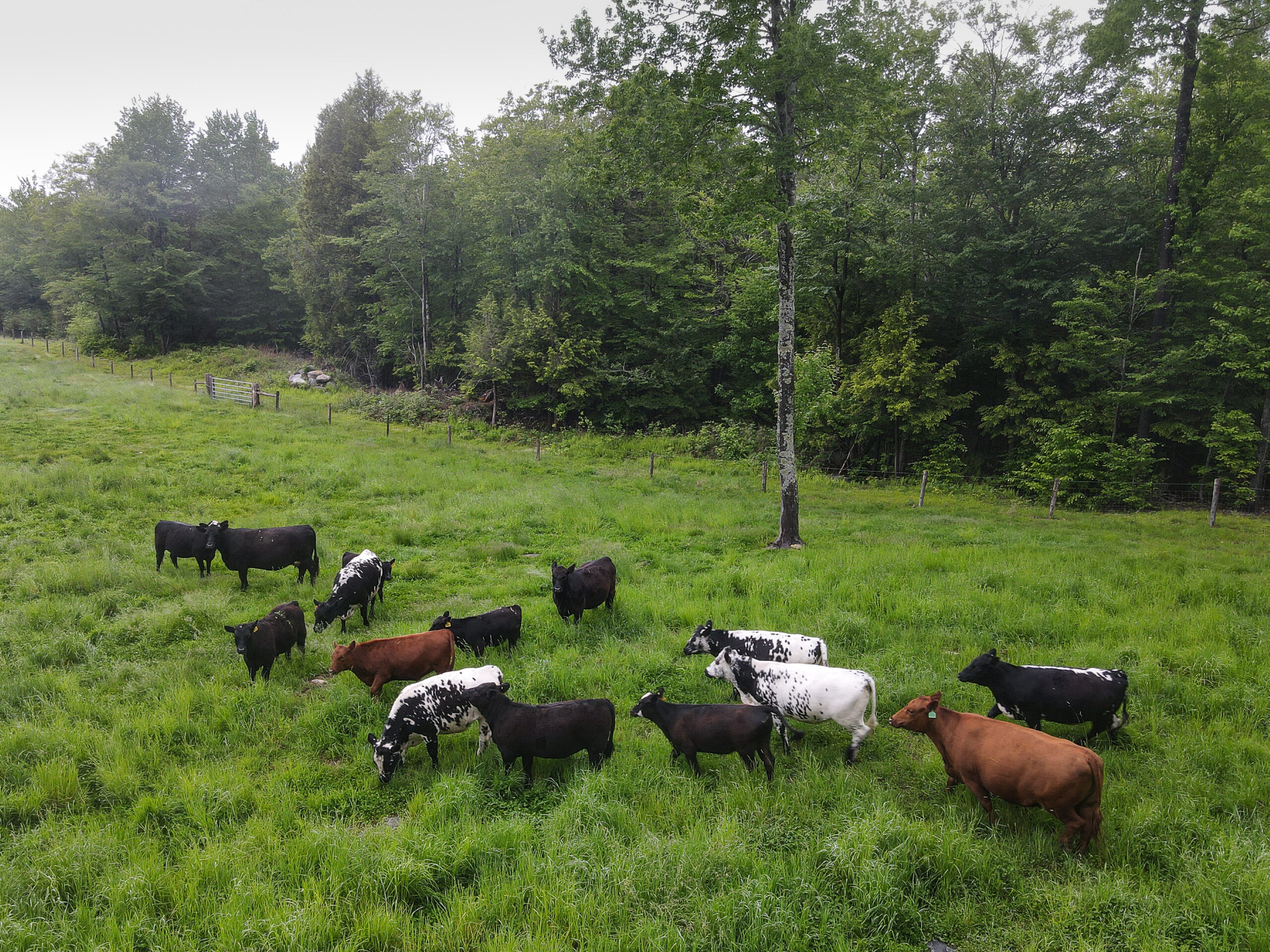 Picture of Farm (7)