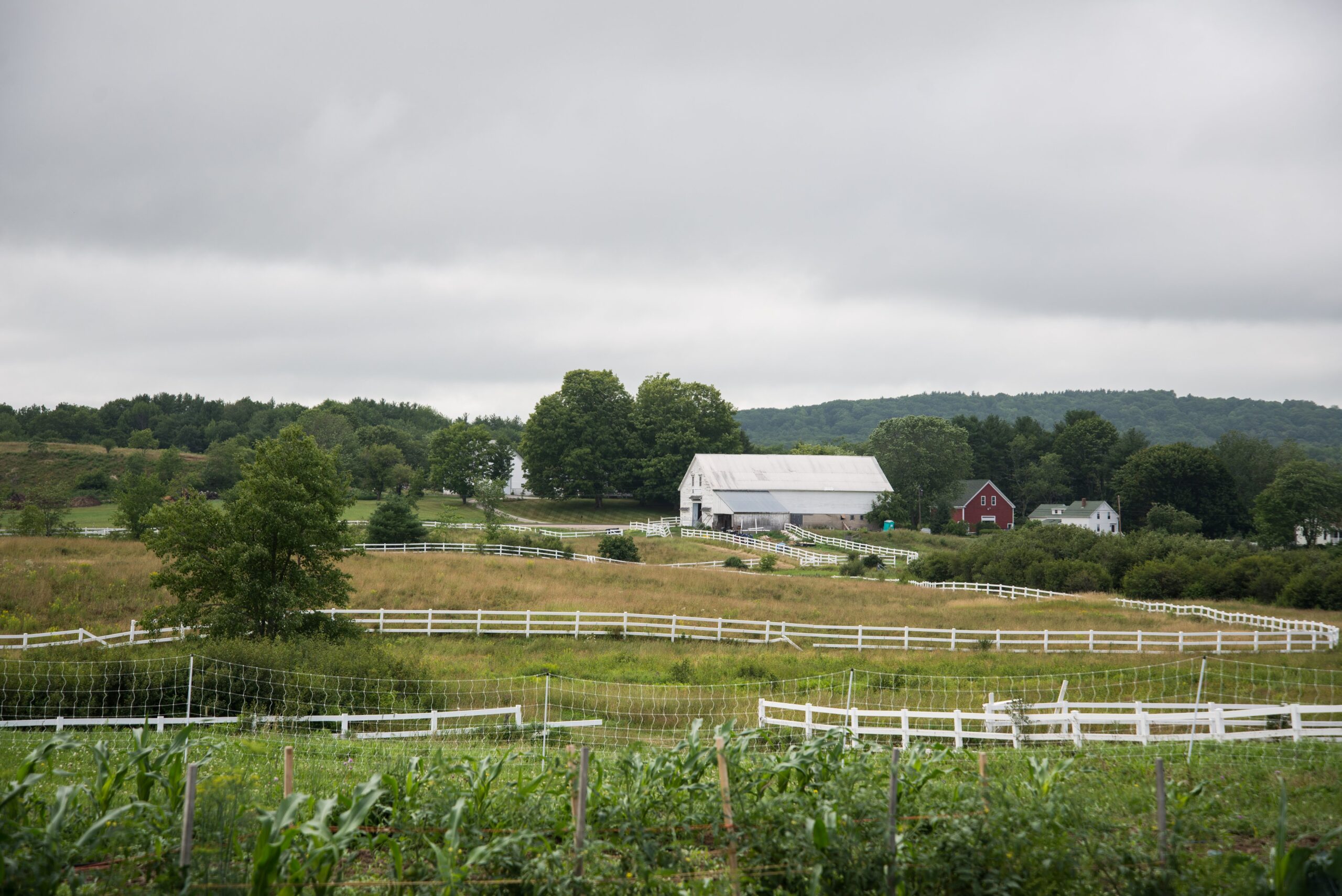Picture of Farm (8)