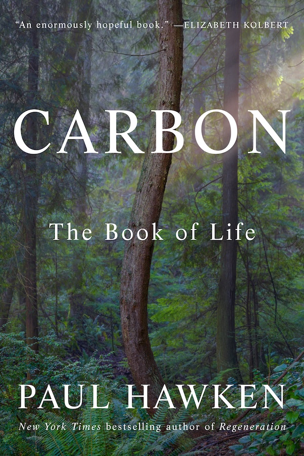 Review Carbon resized