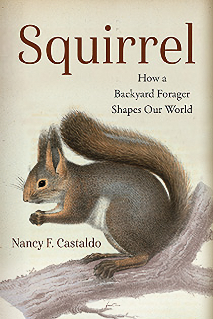 Review Squirrel