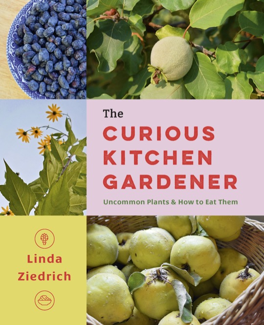 Review The Curious Kitchen Gardener