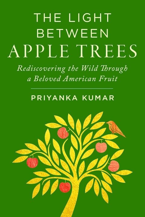 Review The Light Between Apple Trees