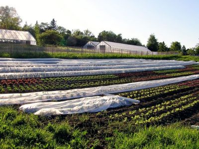 32 and 33.  Hoophouses at Peacemeal Farm in Dixmont, Maine, and at MOFGA’s Common Ground Education Center in Unity. English photos.