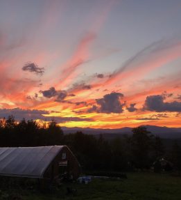 Sunrise over hoophouse