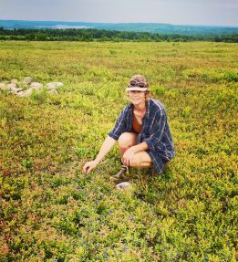 Laura Flannery, Blue Ox Blueberries