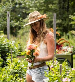 A farmer stands between rows of flowers holding a handful of dahlias.